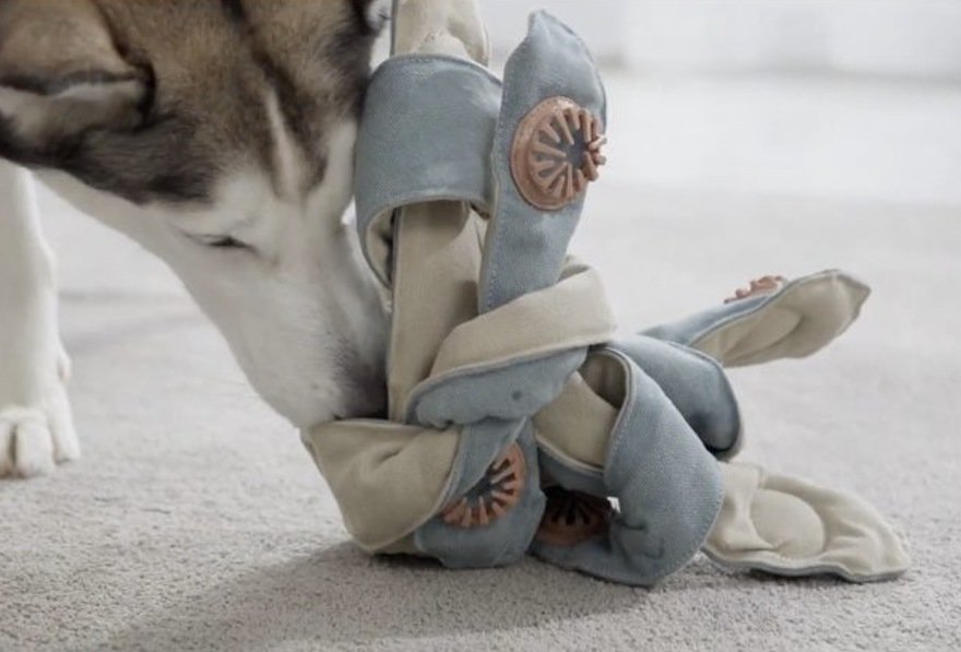 狗玩具的智慧設計：Frank the Dogtopus